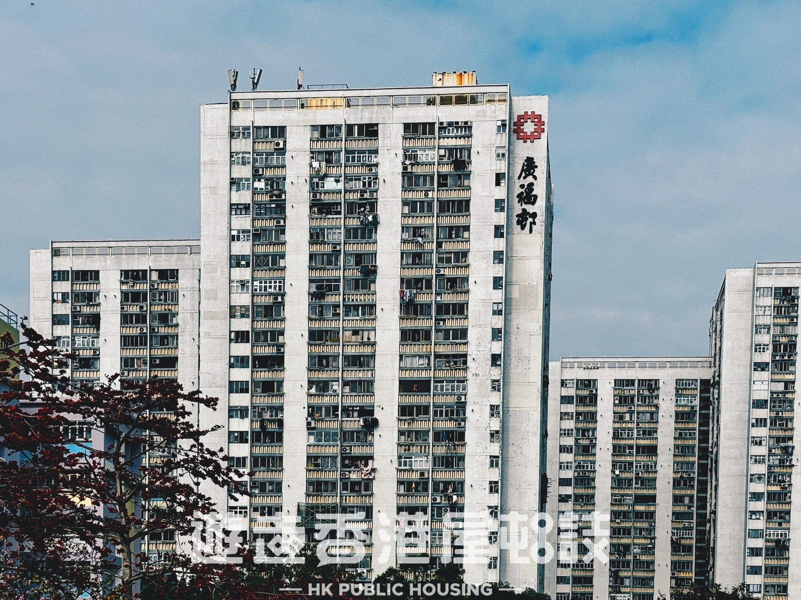 大埔廣福邨風景。
