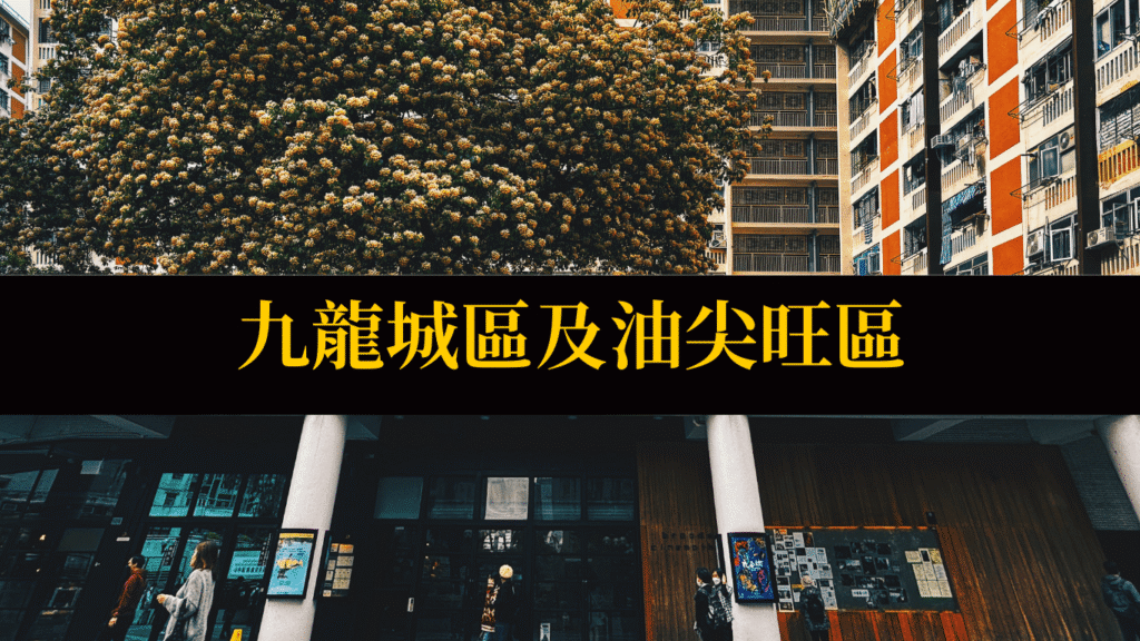 九龍城及油尖旺區
