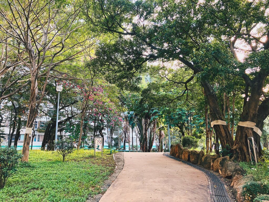 進內其實沒甚麼特別,但勝在環境夠舒適。 進內其實沒甚麼特別,但勝在環境夠舒適。