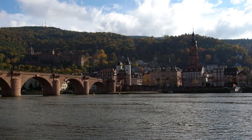 467850802 10161357145723347 3600623033250386795 n